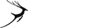 一手价格供应的ddos攻击ip软件下载